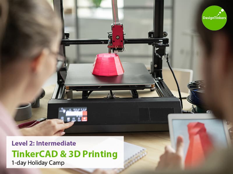Level 2: Intermediate TinkerCAD + 3D Printing (May)