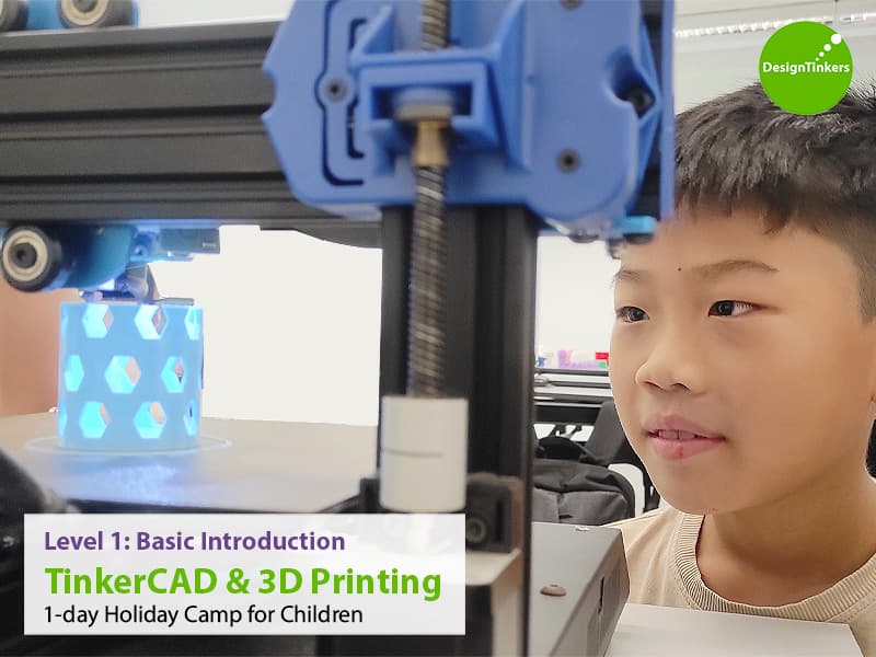 Level 1: Basic Introduction to TinkerCAD + 3D Printing (27 May)